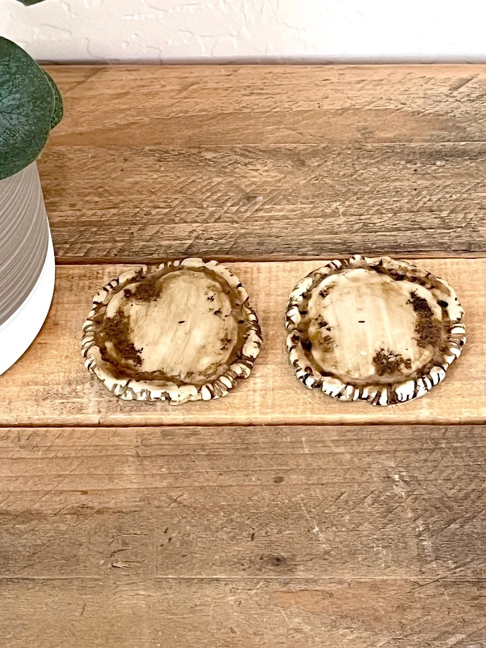 Real Deer Antler Burr Crown Slices Cork Coasters Pair Set of 2